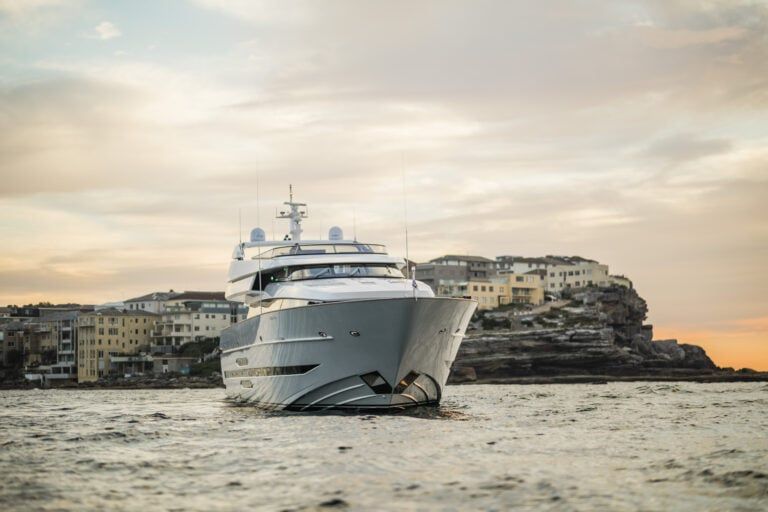 MOHASUWEI © Salty Dingo 2018 BH-6464