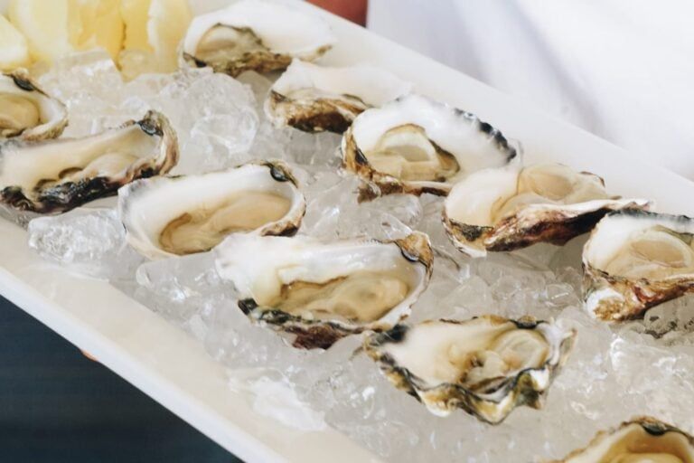 Come aboard Element and be delighted