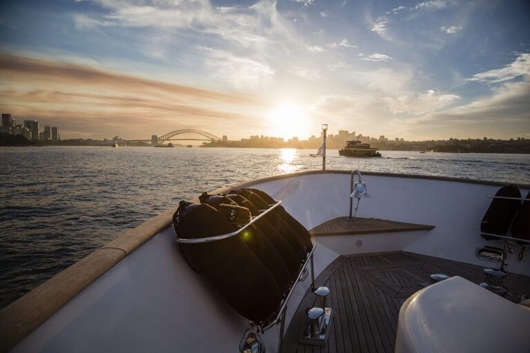 MOHASUWEI © Salty Dingo 2018 BH-7493