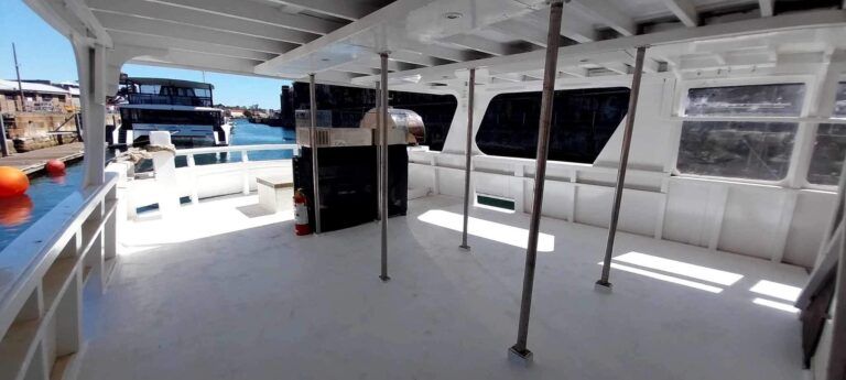 Mandalay charter vessel Sydney Harbour (9)