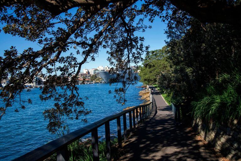 sydney harbour walks