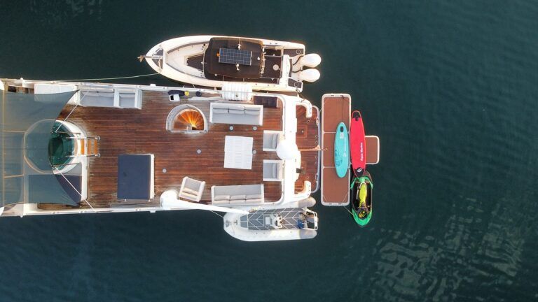 phoenix-one-20250205_063448_9_1738700989351