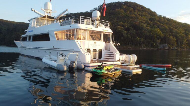 phoenix-one-20250205_064132_23_1738698568470