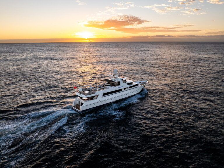 phoenix-one-20250217070006_0018_D