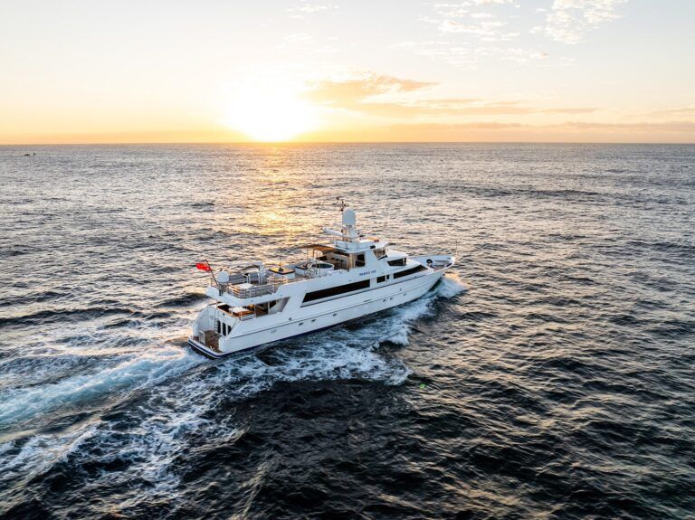 phoenix-one-20250217070556_0053_D