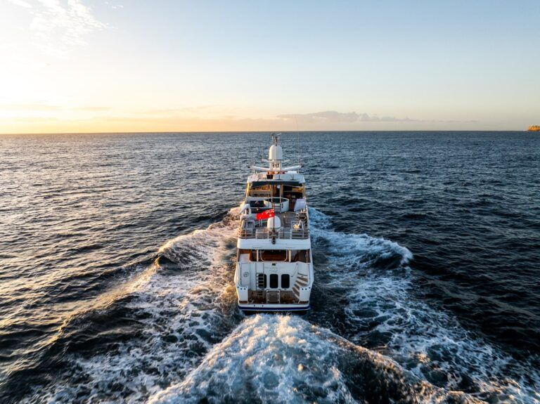 phoenix-one-20250217070851_0069_D