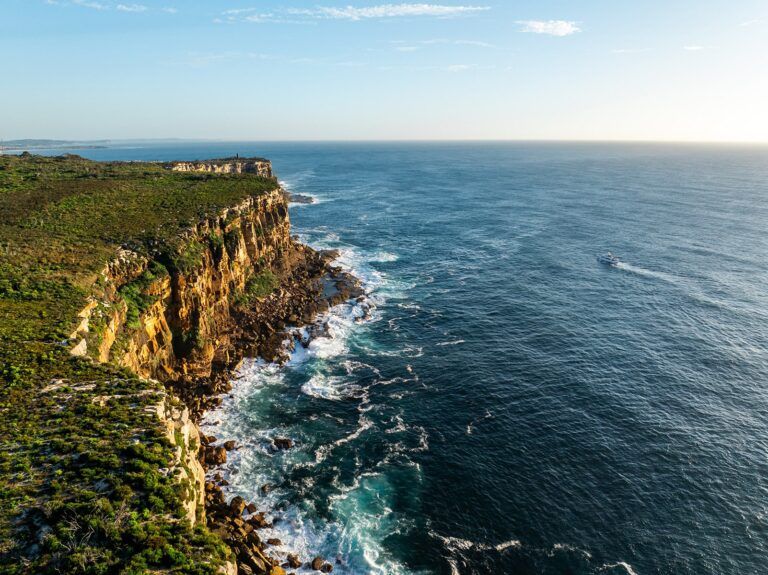 phoenix-one-20250217073342_0051_D