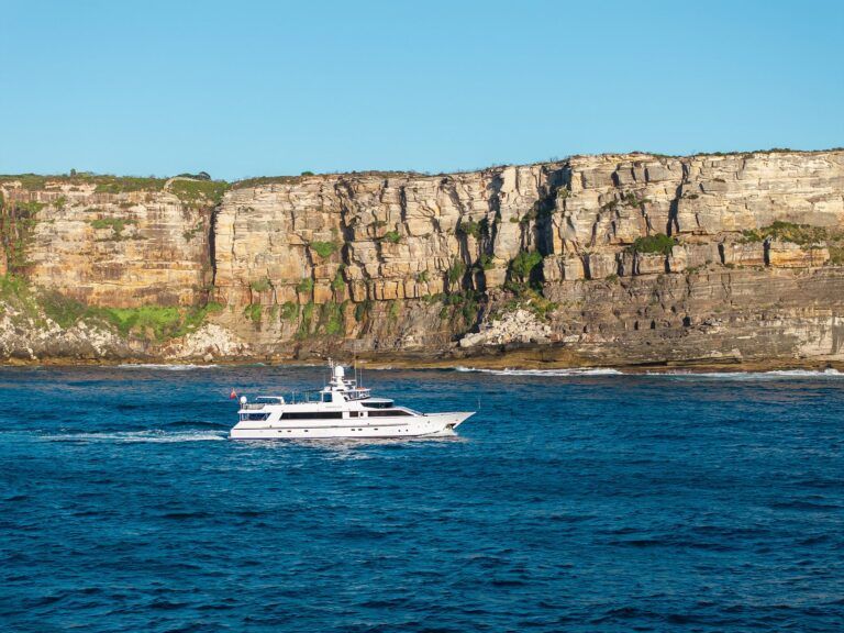 phoenix-one-20250217075417_0080_D 2