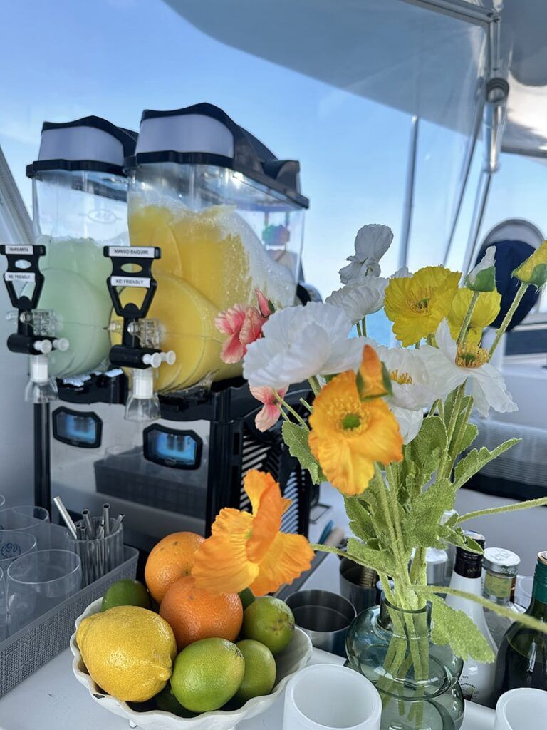 phoenix-one-IMG_1760-2